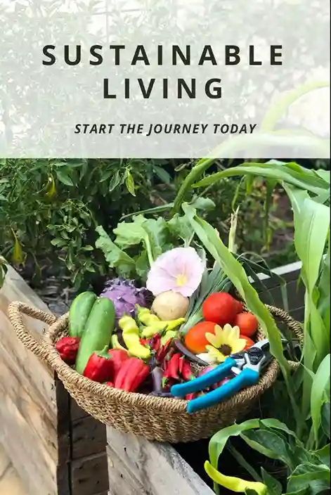 start-your-sustainable-living-journey-today