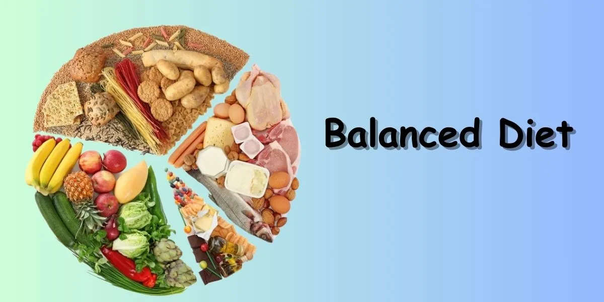 balanced-diet
