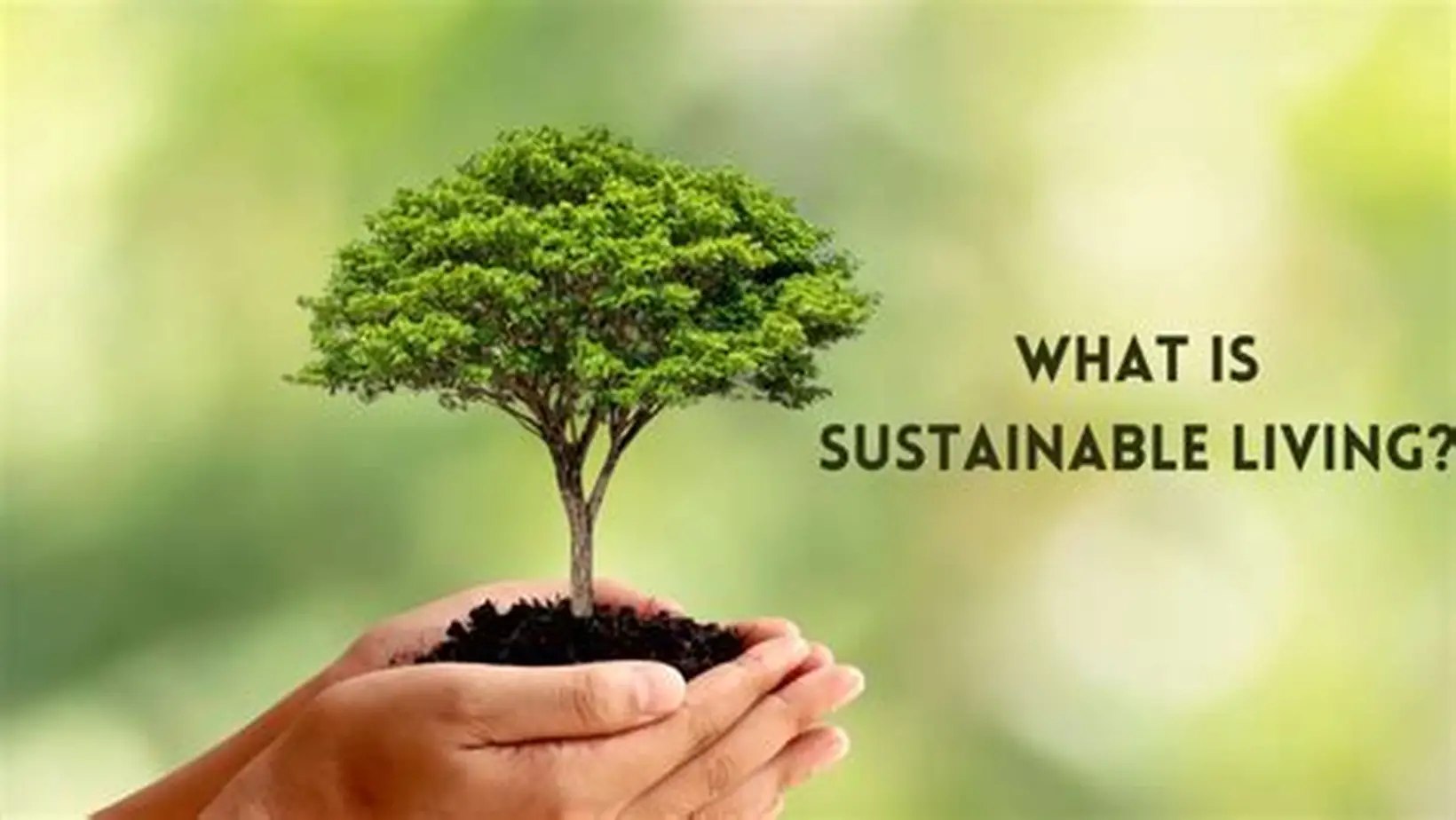 what-is-sustainable-living
