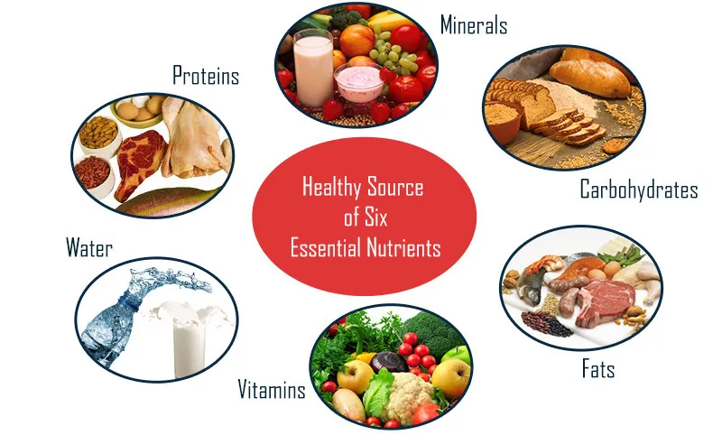 essential-nutrients