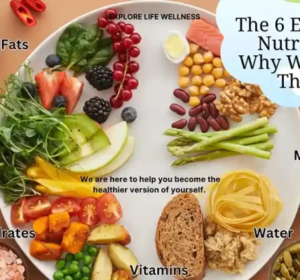 6-essential-nutrients