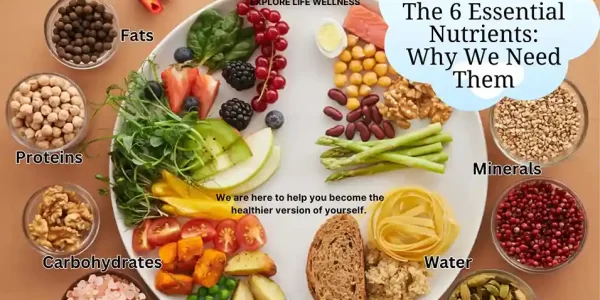 6-essential-nutrients