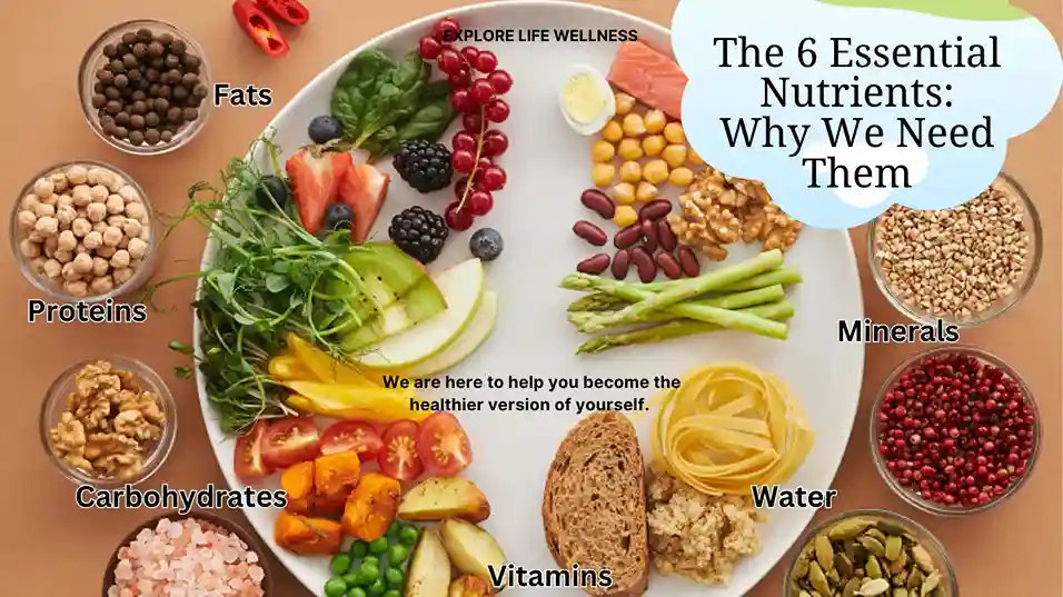 6-essential-nutrients