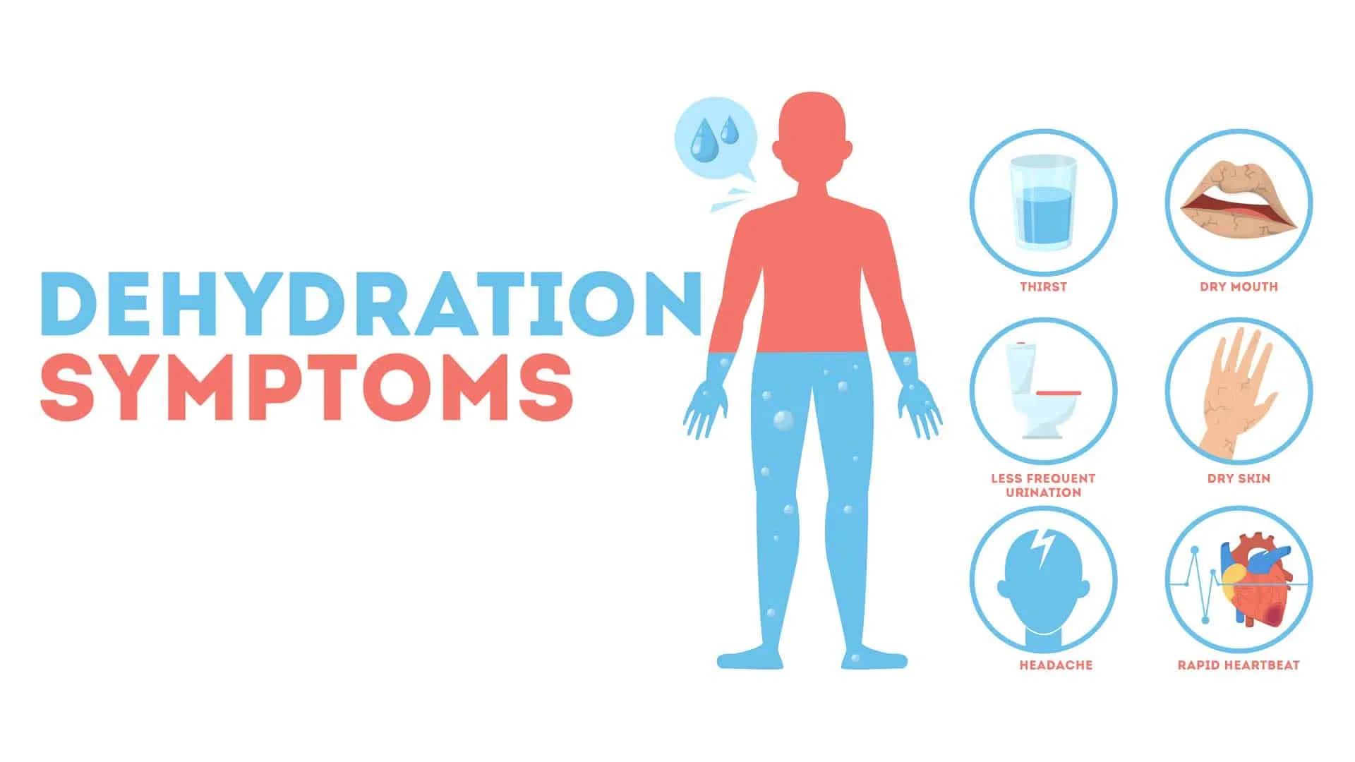 what-happens-when-youre-dehydrated