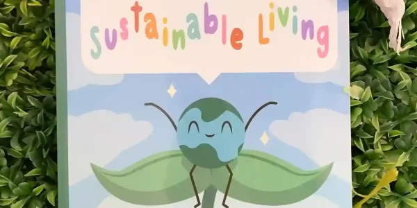 beginners-guide-to-sustainable-living